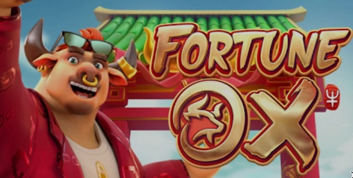 🎰 Confira qual é o melhor horário para jogar o jogo do touro
